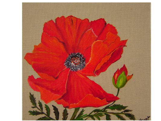 Coquelicot