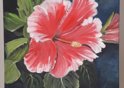 L’Hibiscus